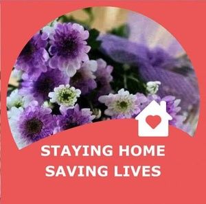 Meet your Posher, Pat